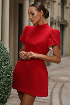 Janene Elegant Puff Sleeve Mini Dress for Women