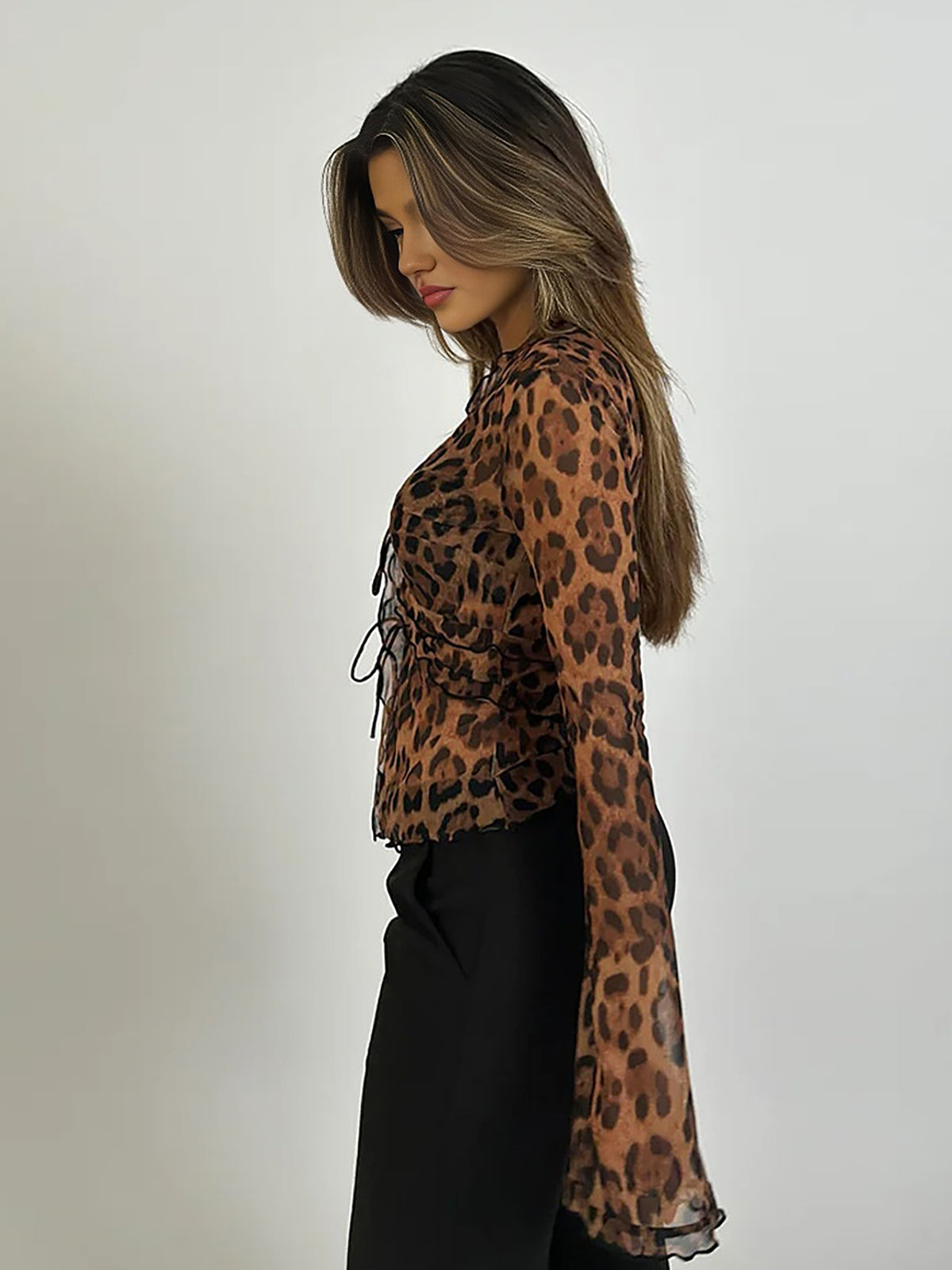 Miyah Sheer Leopard Print Blouse with Ruffled V-Neck