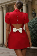 Janene Elegant Puff Sleeve Mini Dress for Women